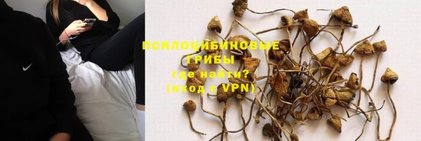 каннабис Горно-Алтайск