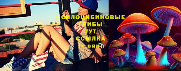 герыч Горнозаводск