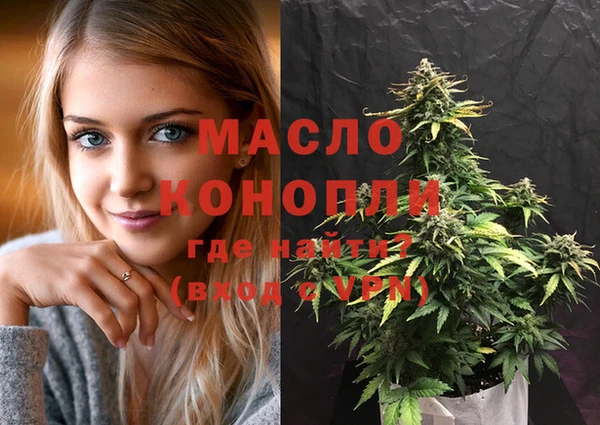 молекула духа Горняк